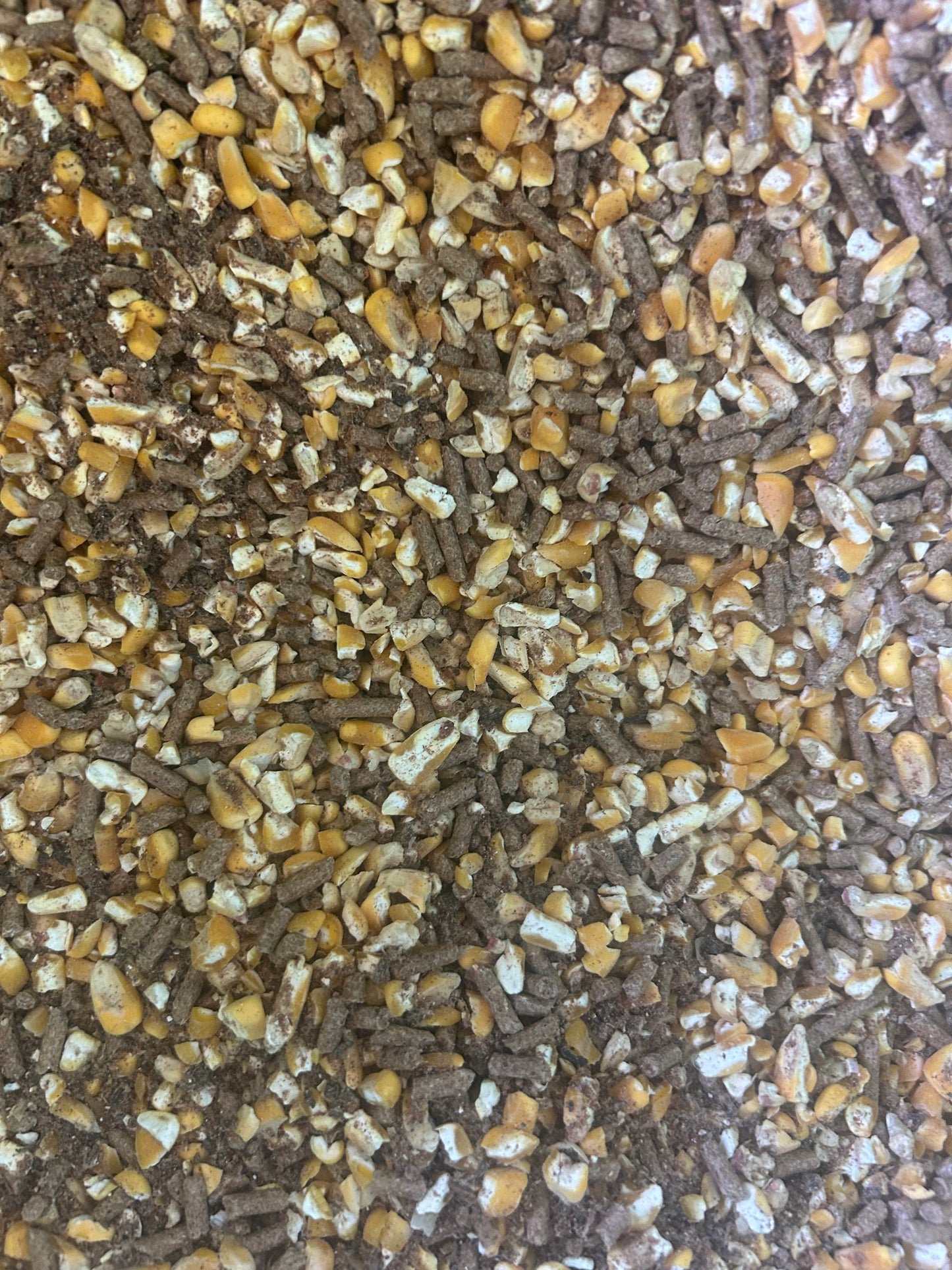 Bulk Cattle Feed 13%