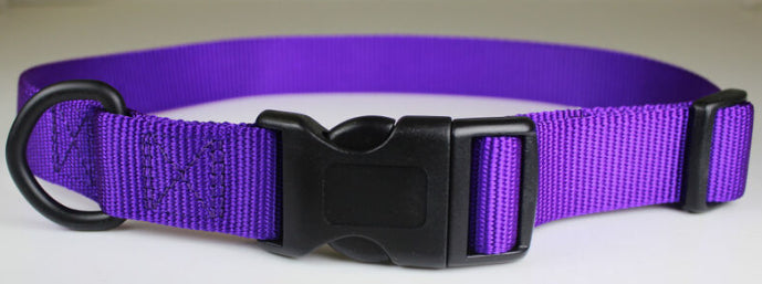 Pet Collar