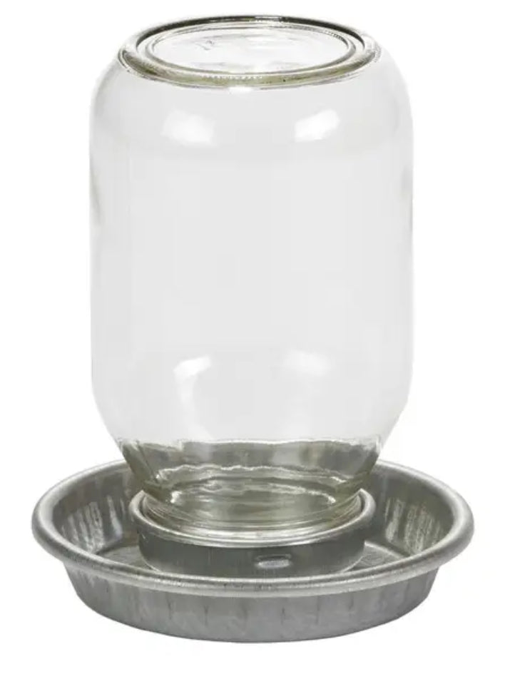 Mason Jar Chick Waterer