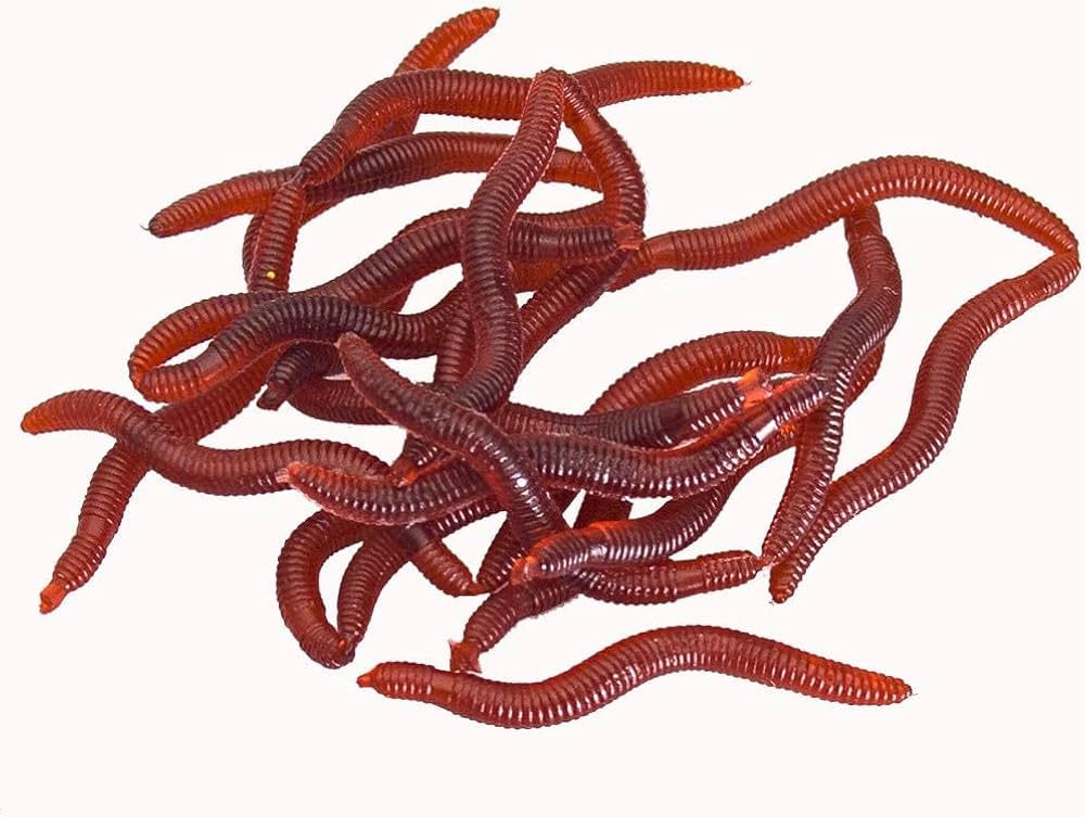 Live Bait