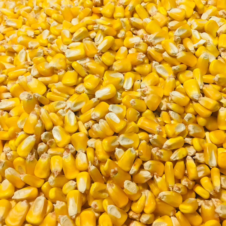 Persimmon Corn