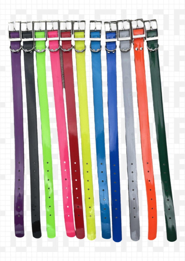 Dog Collars O-Ring