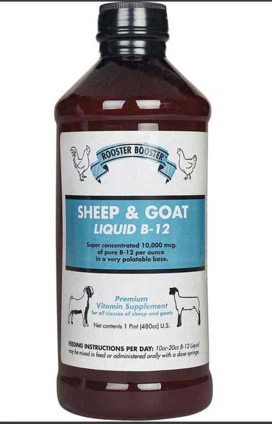 Sheep & Goat Liquid B-12