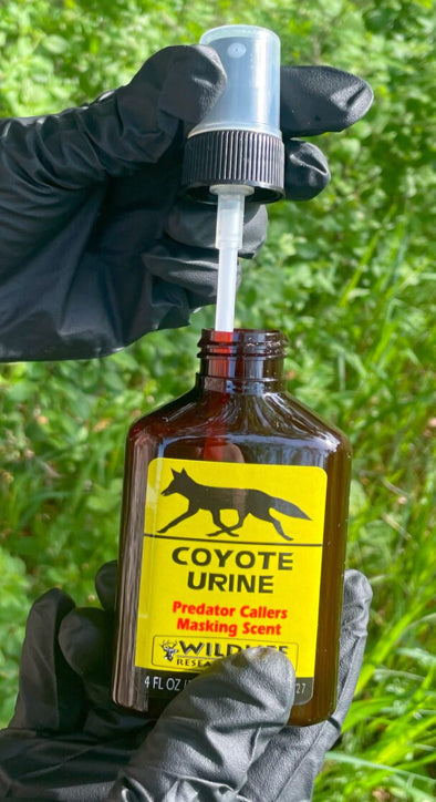 Coyote Urine