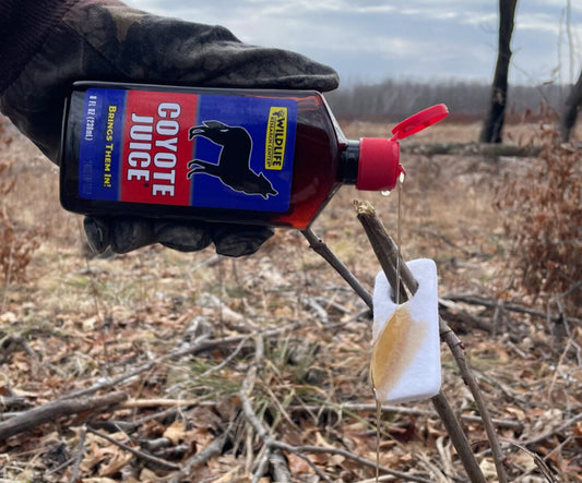 Coyote Juice