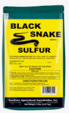 Black Snake