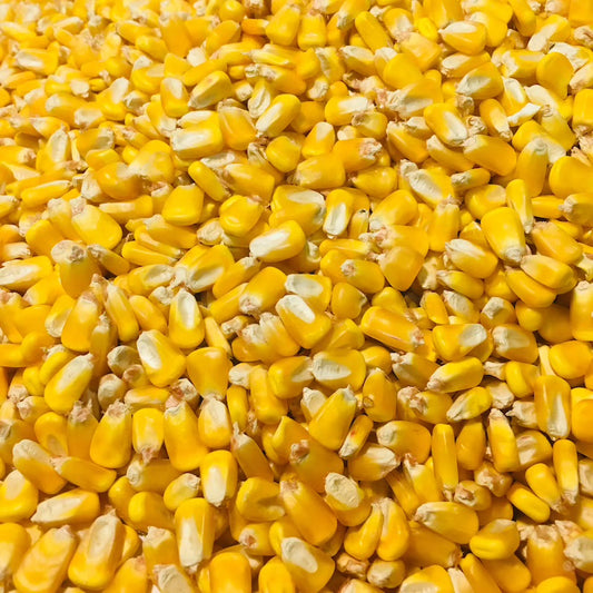 Whole Corn