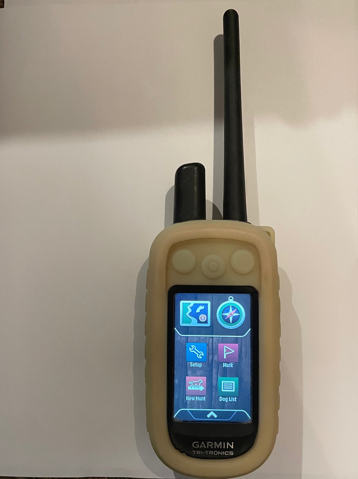 Used Garmin Alpha 100